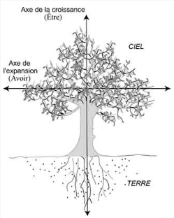 arbre_dev